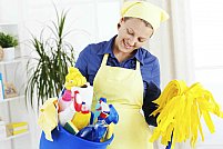 Premier Cleaning