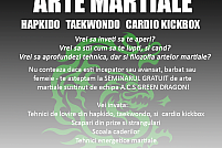Seminar Gratuit Arte Martiale - Taekwondo, Hapkdio, Cardio Kickbox