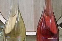 Degustare de vin pelin frizzante - Domeniile Urlati - la Peter's Kitchen