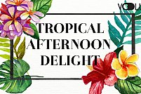 Tropical Afternoon Delight