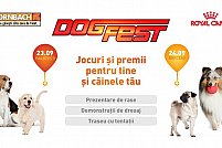 DogFest