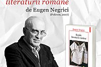 afis-iluziile-literaturii-romane-mnlr-web Volumul Iluziile literaturii romane