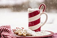 Ciocolată, cafea şi ceai. Delicatese şi tabieturi în cultura europeană