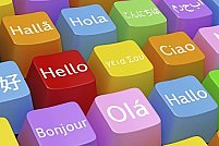 Burlacu Melania - Traducator Burlacu Melania