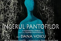 Ingerul Pantofilor