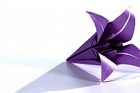 Atelier de Origami pentru copii