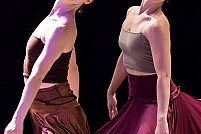 Spectacol dans BARRY: MAMELOSHN IN DANCE! (SUA)