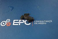 EPC