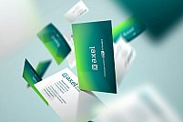 Axel Soft IT Group