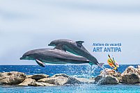 Atelierele Verii Art Antipa 2019