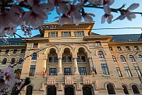 Primaria Municipiului Bucuresti