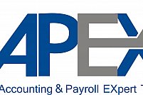 Apex Team International