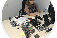 CIPL Expert Audit
