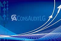 Cons Audit LG