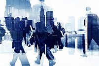 Data Finance Accounting
