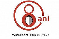 Win Expert Consulting
