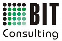 BIT Consulting Pro