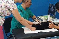 Clinica veterinara Biovet