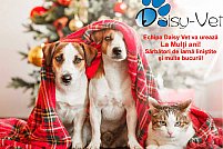 Clinica veterinara Daisy Vet - Aviatiei