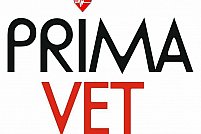 Spitalul Veterinar Prima Vet - Militari