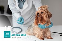 Veterinary Westernvet