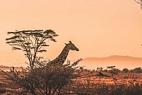 Kenya, locul ideal pentru aventură și relaxare
