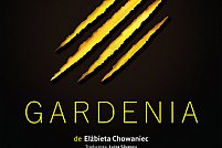 gardenia Gardenia