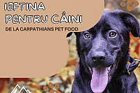 Vrei ca animalul tău de companie să primească o hrana de calitate