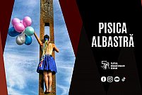 pisica-albastra Pisica Albastra