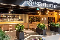 Restaurant Spotlight