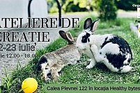 Ateliere de creatie la gradina