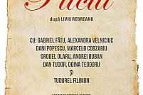 plicul Plicul