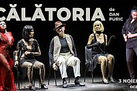 Calatoria