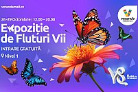 expozitiafluturivii Expoziția de Fluturi Vii - o experiență interactivă pentru toată familia la Veranda Mall