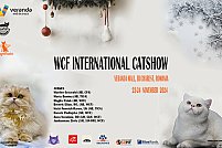website-news-event-ok Magnificats 2024 - Expoziție Internațională de pisici de rasă WCF la Veranda Mall