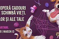 love-fair Love Fair