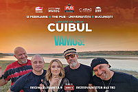 Cuibul