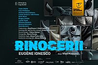 Rinocerii