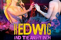 hedwig-and-the-angry-inch Hedwig and the Angry Inch