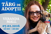 Targ de adoptii pentru catei - ASPA