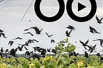 10 ani în 60 de minute
