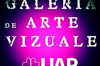 Galeria Arte Vizuale