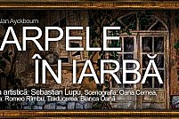 Sarpele in iarba