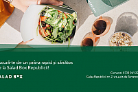Salad Box