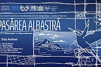 Pasarea Albastra