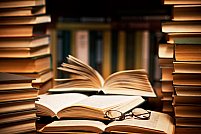 Editura Limes