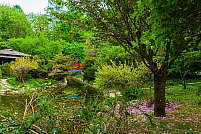 Gradina Botanica Alexandru Borza