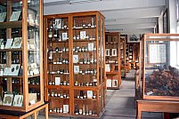 Muzeul Botanic Alexandru Borza