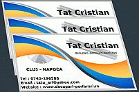 Tatu