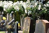 Cimitirul Crisan